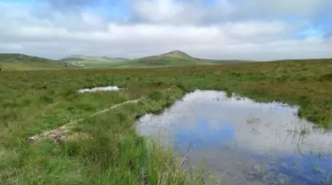 £2m Nature Recovery Fund now open for south-west community projects