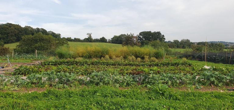 Gloucestershire Serves Up New Action Plan to Tackle Food-Related Emissions