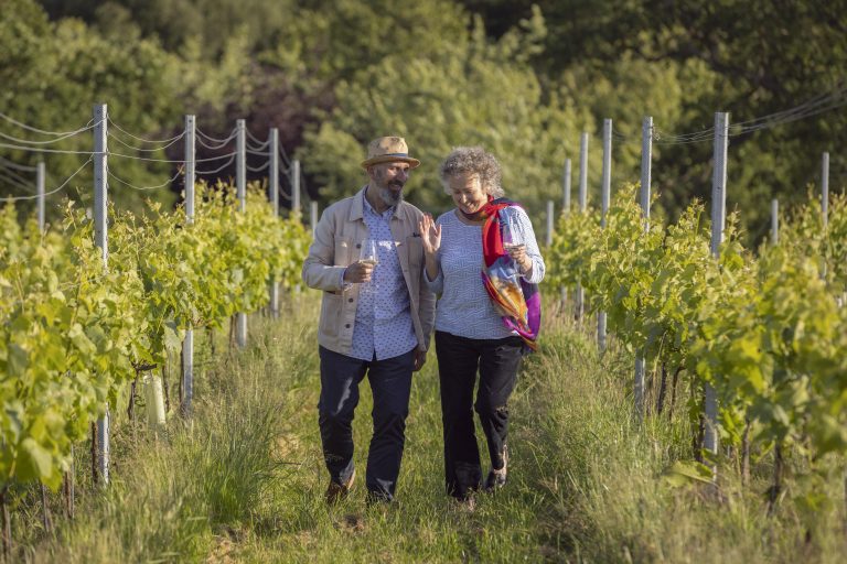 Sussex Vineyards Uncork Summer Of Retreats Festivals And Stargazing
