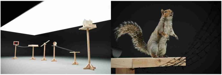 Carling Black Label Revives Iconic 1990s Squirrel Advert To Launch New Beer