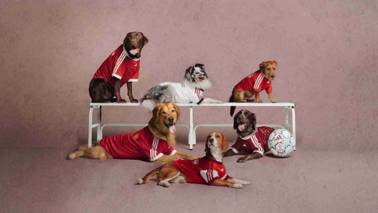 adidas Brings Club Football To Four-Legged Fans With New Pet Collection For Selected Clubs