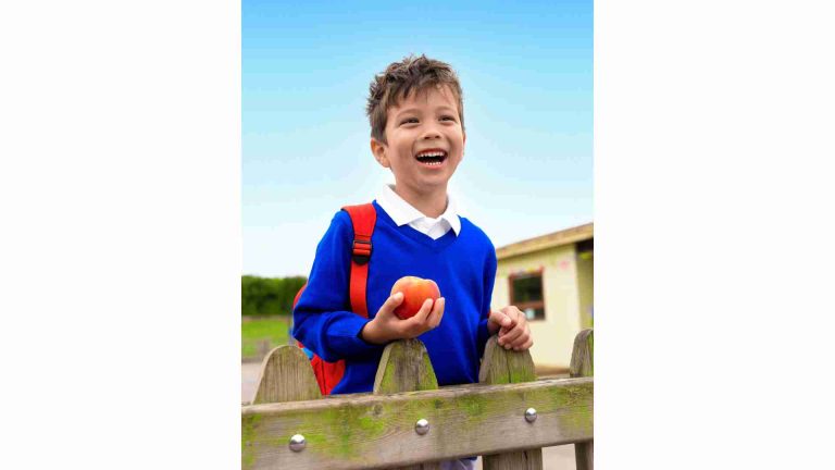 Tesco Predicts Surge in Lunchbox Staples and School Essentials Ahead of August Bank Holiday