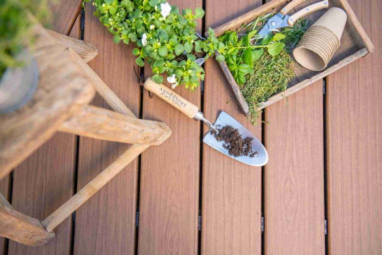 Essential Gardening Jobs to Complete in September Ahead of Colder Weather
