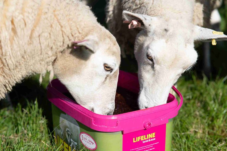 Rumenco Releases New Pink Products for Fundraising Push