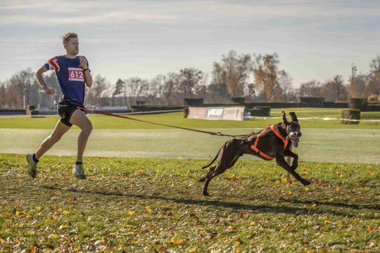 University Of Gloucestershire’s World Champion Ben Robinson Targets More Global Glory With Dog Zuma