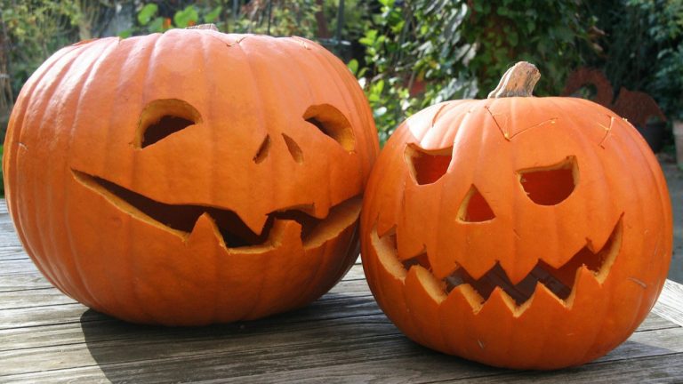 Don’t Let Halloween Waste Come Back to Haunt You!